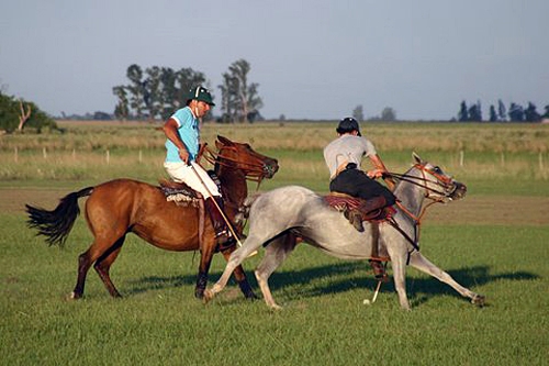 decouvrir Argentine a cheval