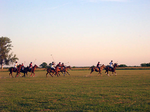 Equitation en Argentine