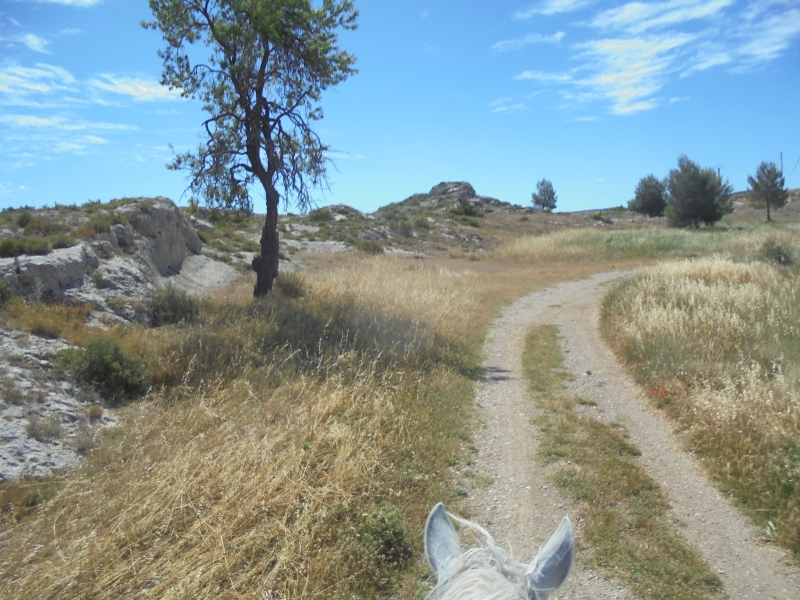 rando cheval Provence Alpilles