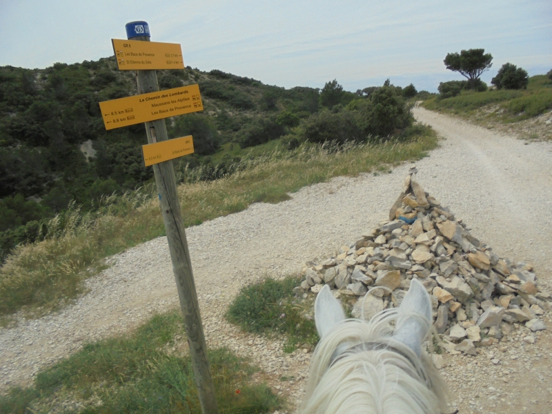 decouvrir Alpilles a cheval