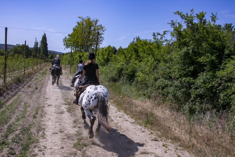 randonnee a cheval Alpilles