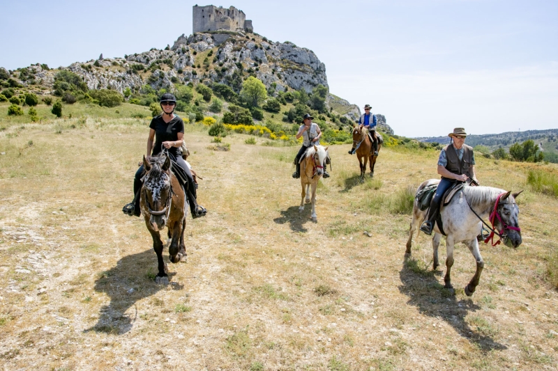 rando cheval Alpilles