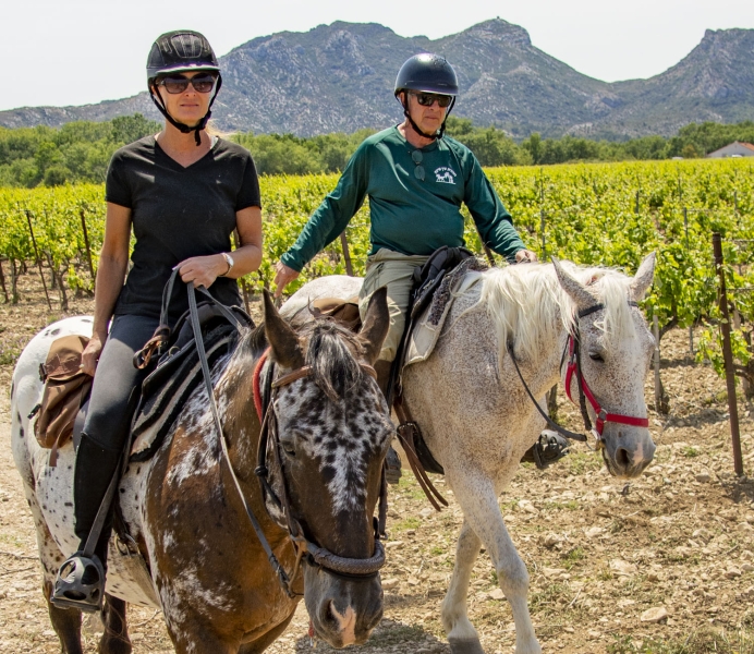 randonnee equestre Alpilles