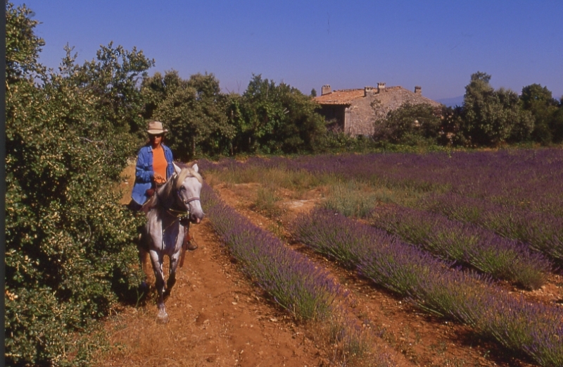 Haute Provence