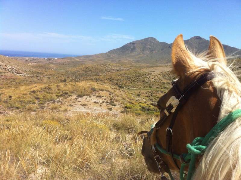 rando à cheval Andalousie