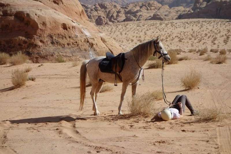 Voyage à cheval en Jordanie