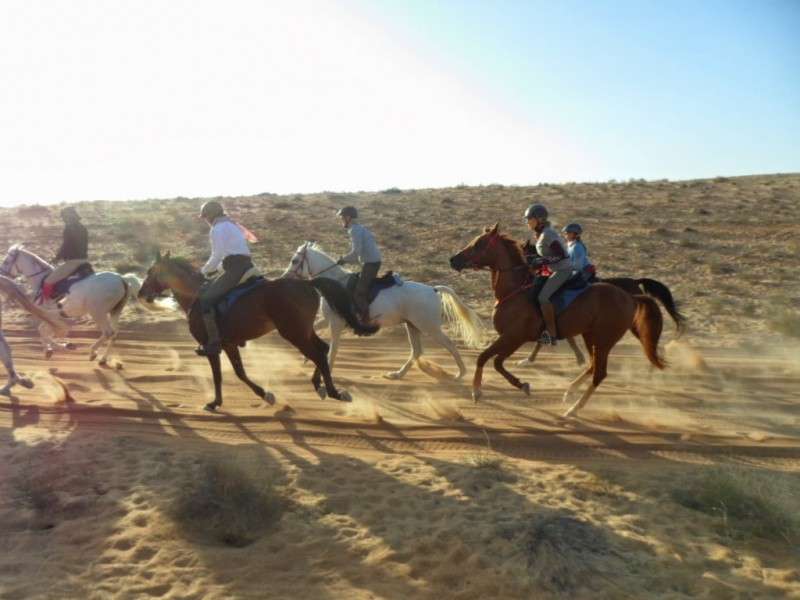 Randonnée à cheval Oman