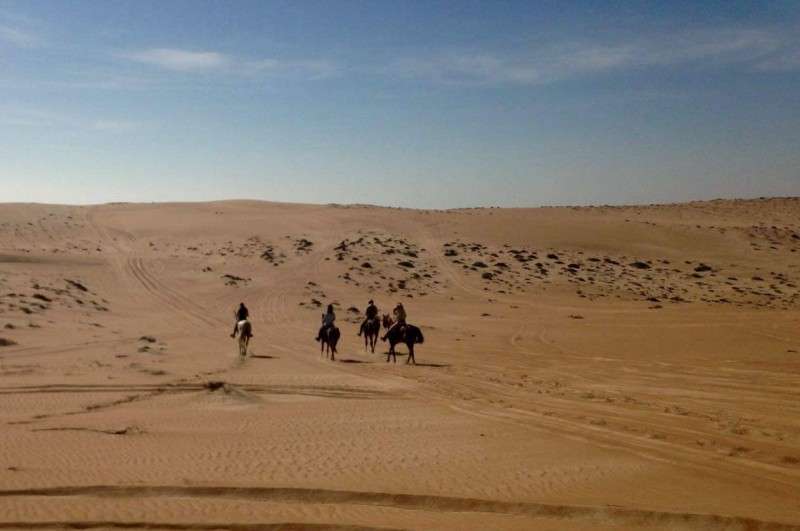 Randonnée à cheval en Oman