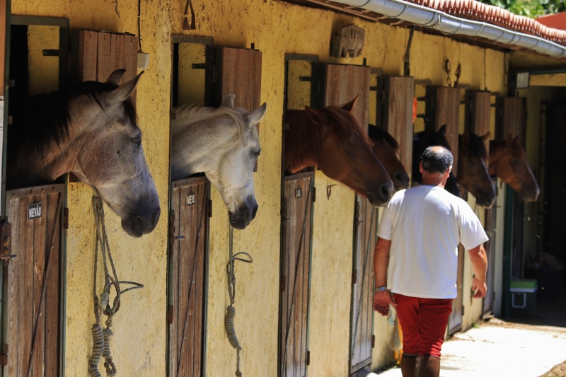 vacances à cheval au Portugal