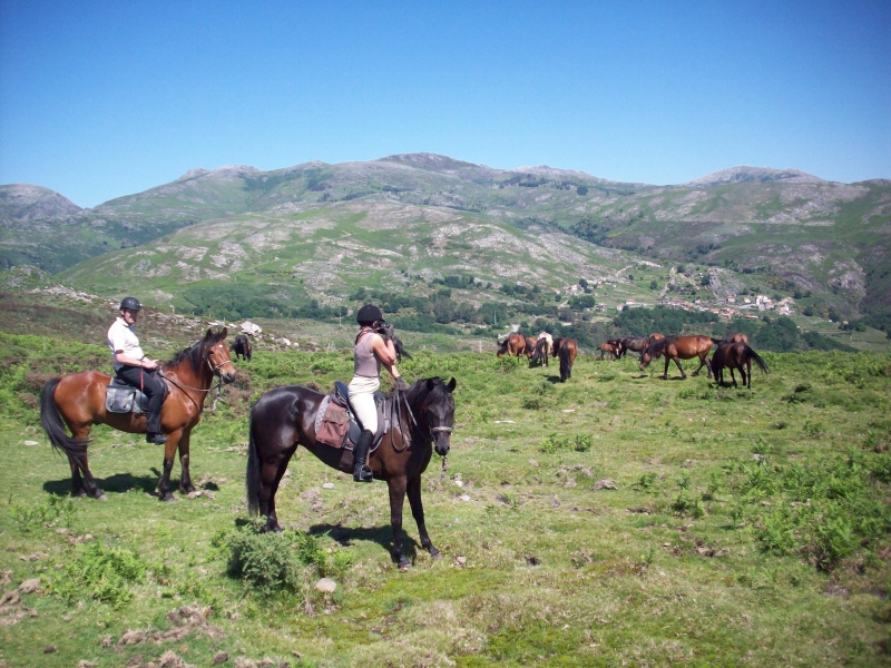 randonnée équestre au Portugal