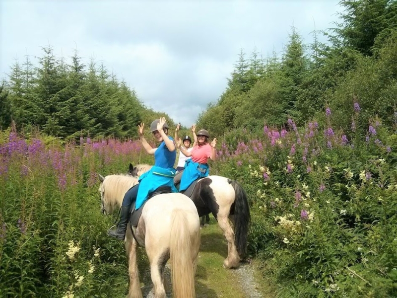 Rando cheval Irlande