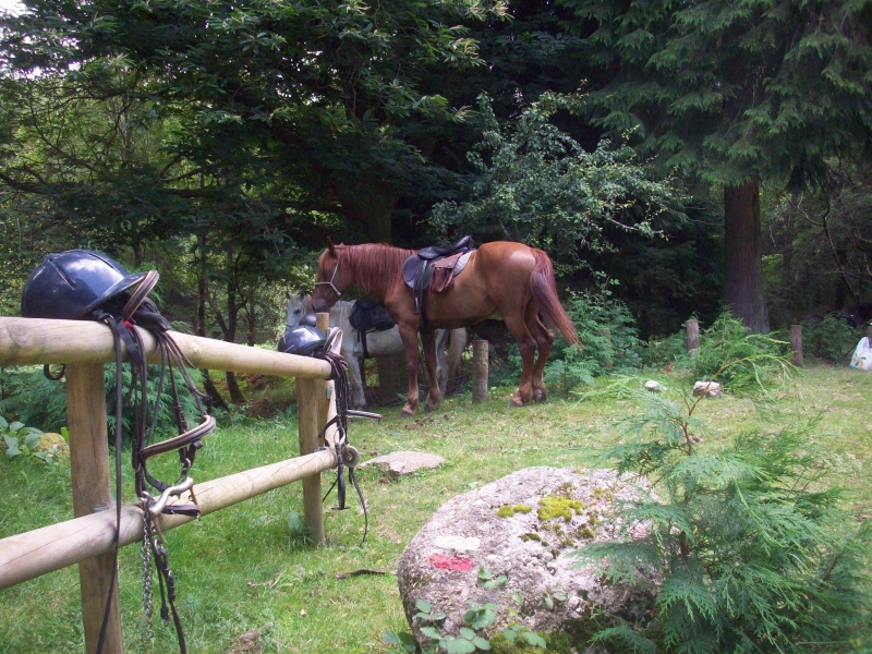 randonnée à cheval au Portugal