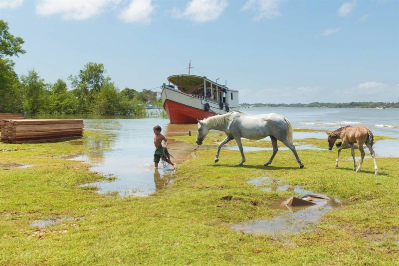 Rando à cheval Brésil