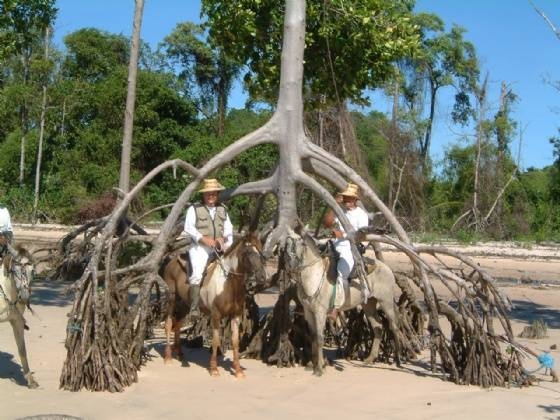 Rando à cheval au Brésil