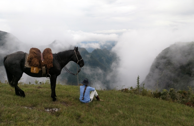 Séjour ranch cheval Brésil