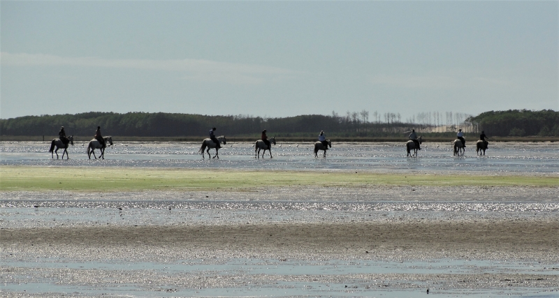 Vacances à cheval au Brésil