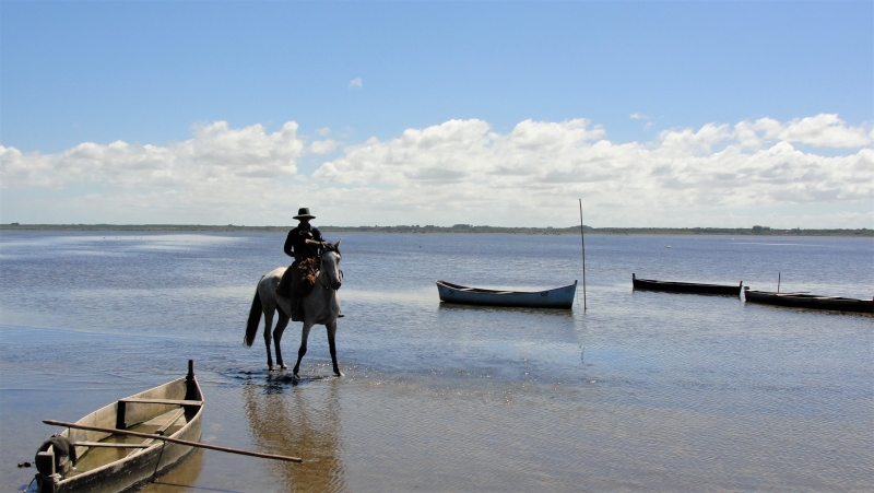 Voyage équestre Brésil