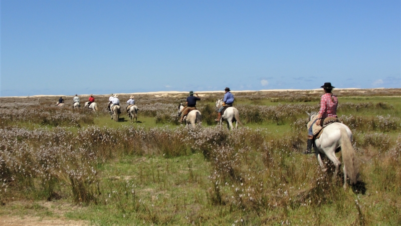 Découvrir le Brésil à cheval