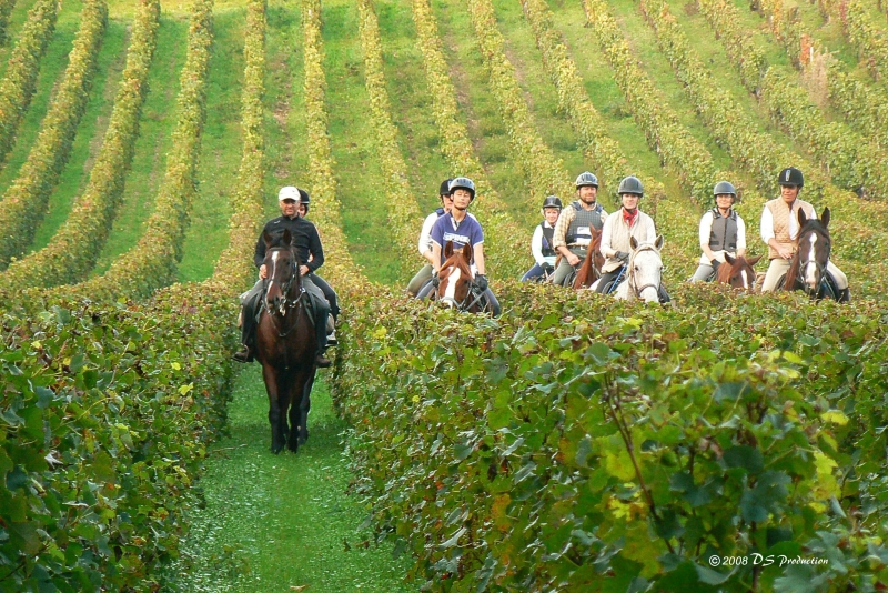 Faire une rando à cheval en France