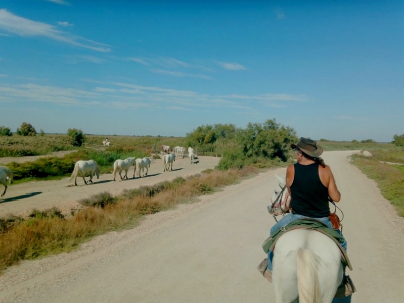 vacances à cheval en Camargue