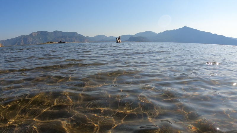 Cheval dans la mer pendant la randonnée à cheval en Turquie