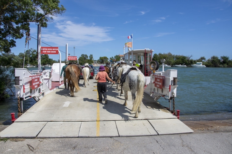 Camargue à cheval