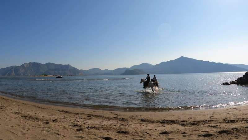 Cavaliers randonnée à cheval à Iztuzu en Turquie