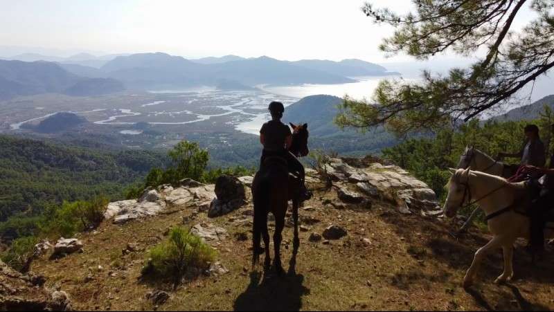 paysage avec cheval en Turquie