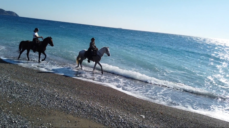 2 chevaux sur la plage en Turquie pendant la randonnée équestre itinérante