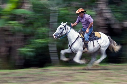 vacances à cheval au Costa Rica