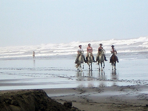 faire du cheval au Costa Rica