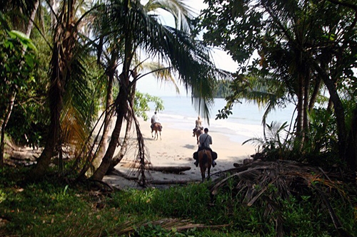 stage équitation au Costa Rica