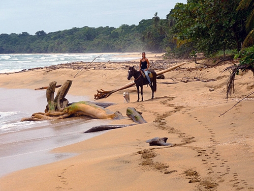 randonnée équestre Caraibes