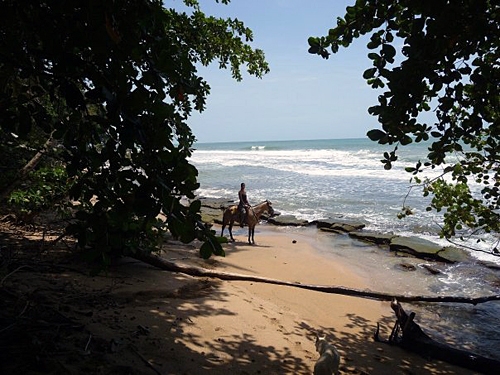 vacances équestres Caraibes