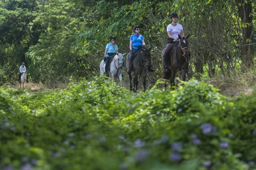 voyage à cheval Costa Rica