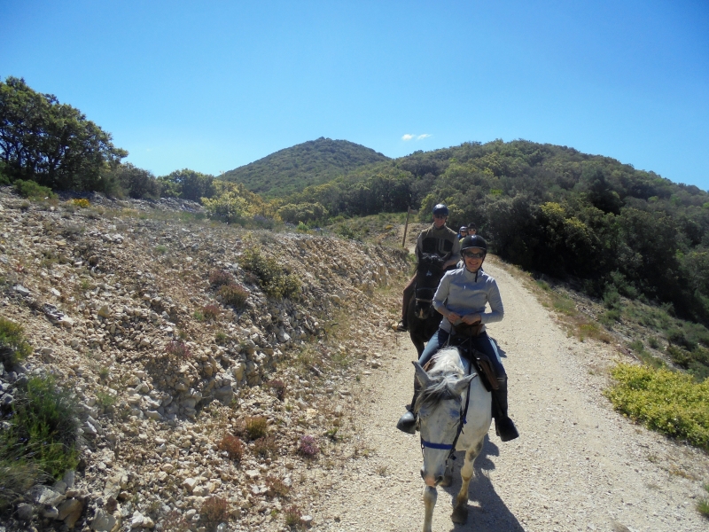 A cheval dans le Vaucluse