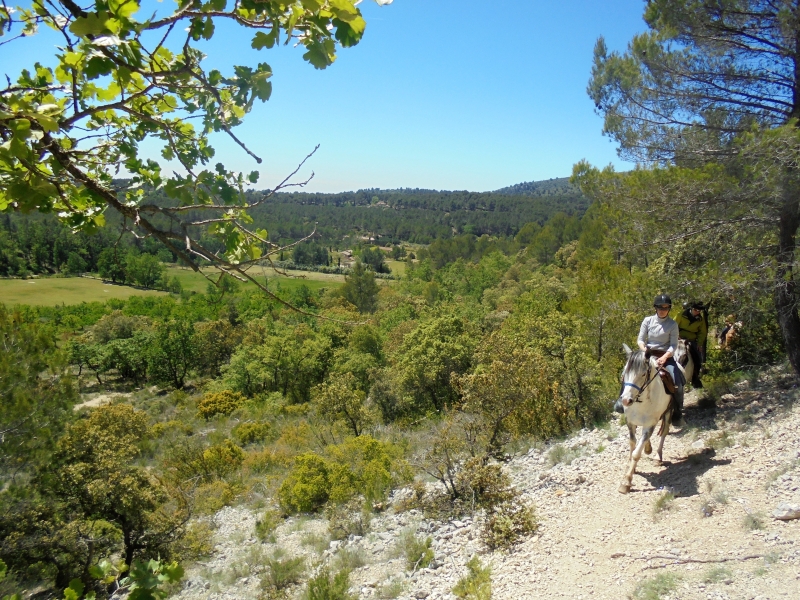 Balade à cheval dans le Vaucluse