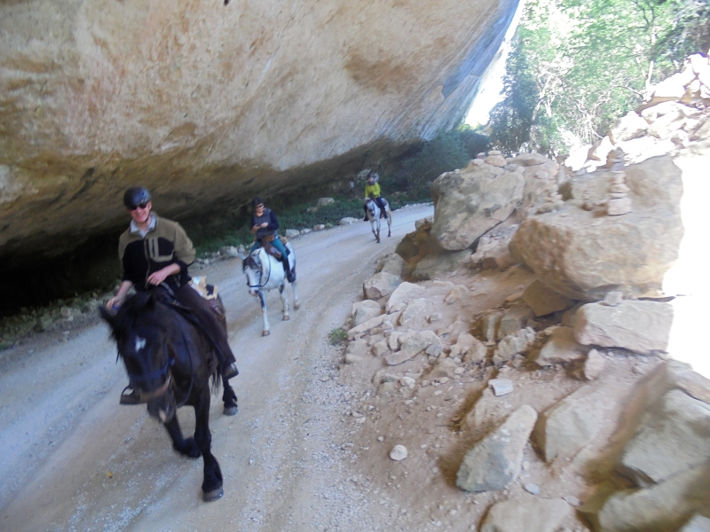 vacances à cheval semaine Vaucluse