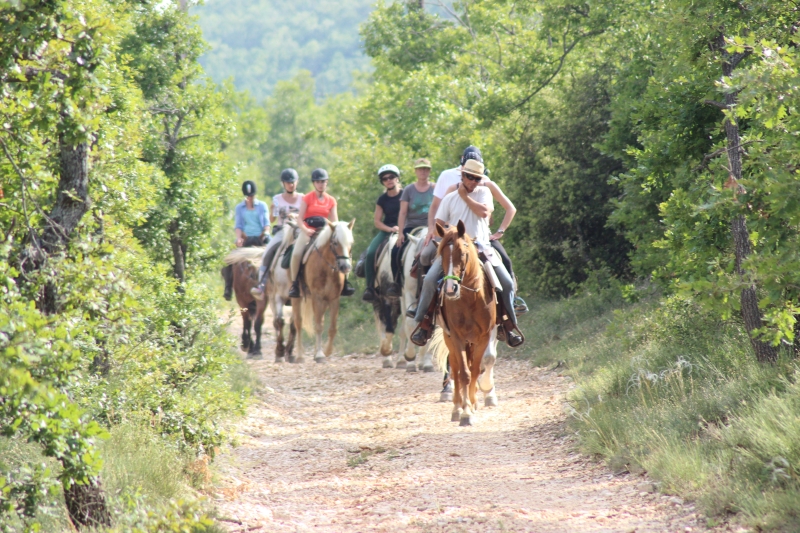 randonnée équestre dans le Luberon