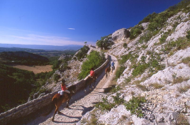 rando equestre Luberon a cheval