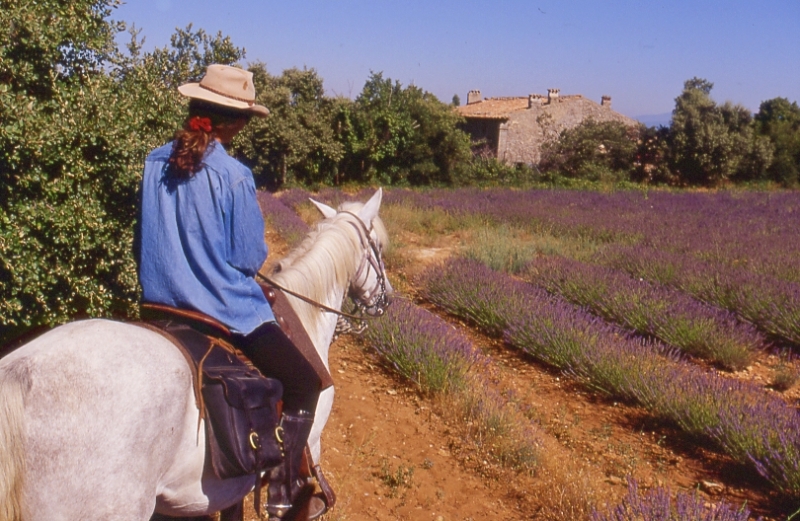 rando cheval Luberon