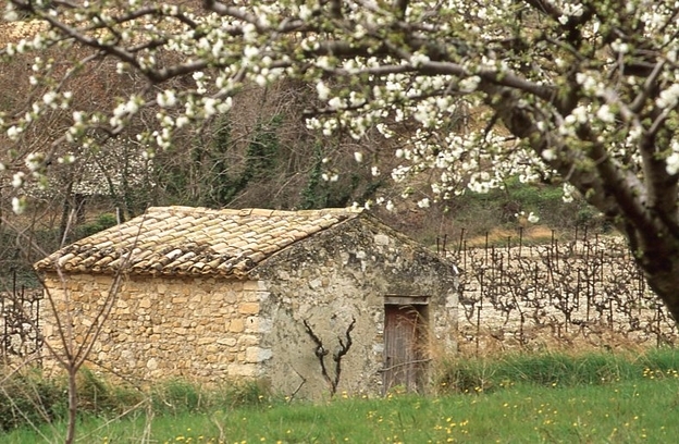 randonnée à cheval dans le Vaucluse