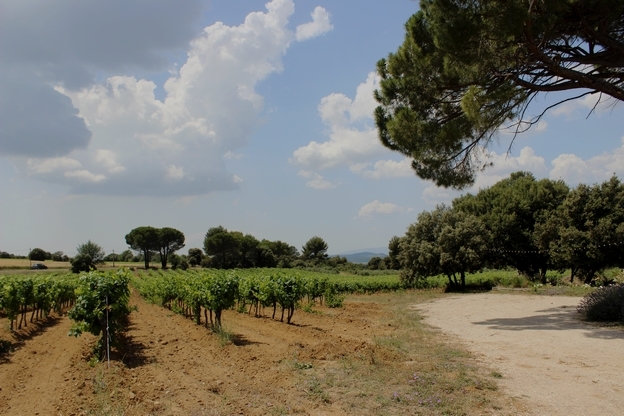 Faire une randonnée à cheval dans le Luberon