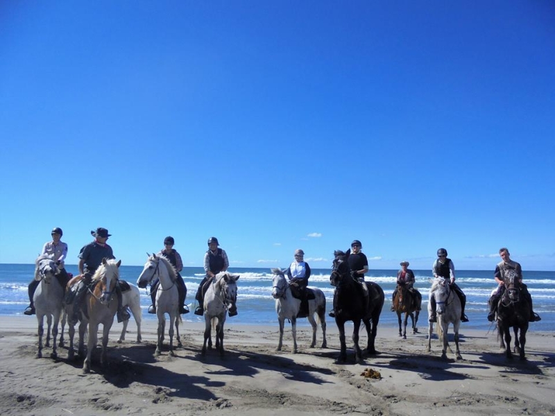 rando cheval Provence Camargue