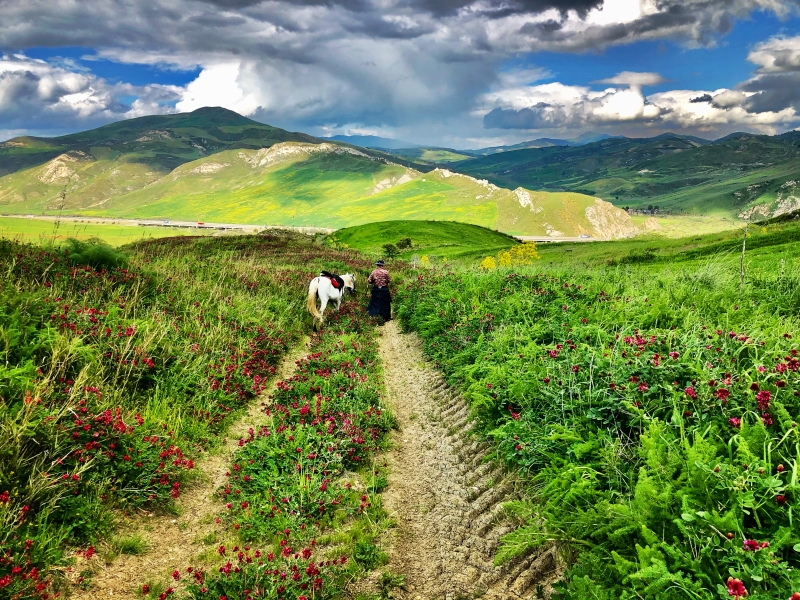 rando cheval Sicile Italie