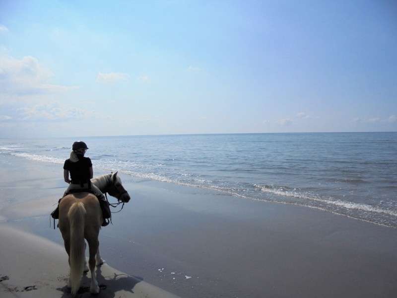 rando cheval en Camargue