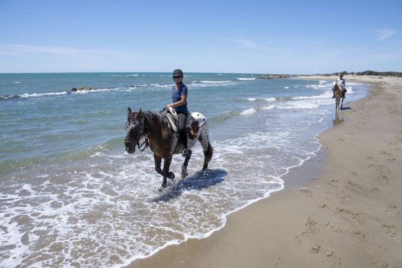 à cheval à travers la Camargue