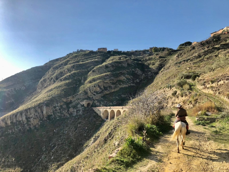 séjour semaine à cheval en Sicile