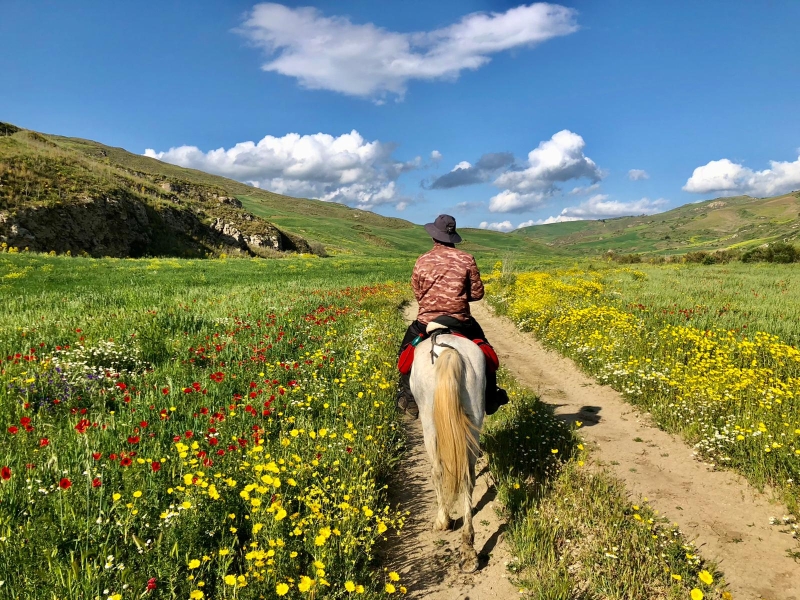 randonnée à cheval itinérante en Sicile