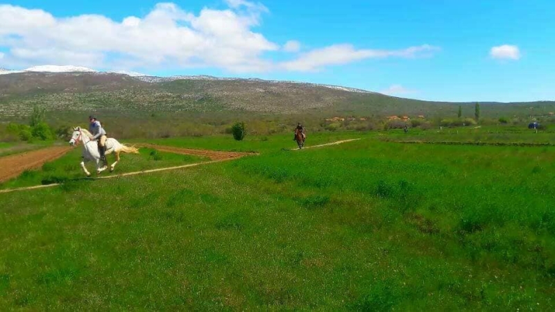 semaine randonnée à cheval Croatie